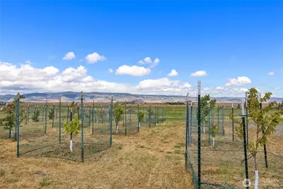 1630 Bitterbrush Drive, Ellensburg, WA 98926 - Photo 10