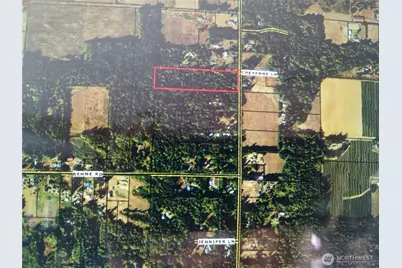 0 Custer School Road, Custer, WA 98240 - Photo 2