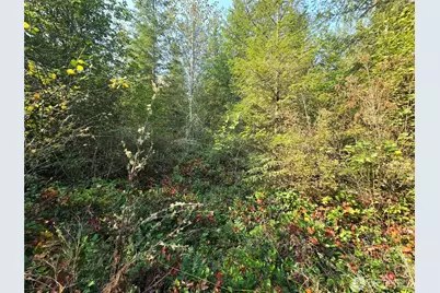 13849 Starflower Lane SE, Yelm, WA 98597 - Photo 14