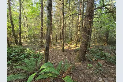 13849 Starflower Lane SE, Yelm, WA 98597 - Photo 12