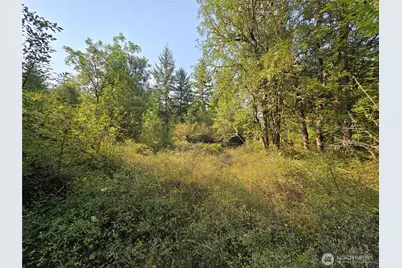 13849 Starflower Lane SE, Yelm, WA 98597 - Photo 4