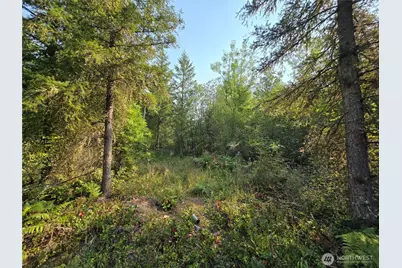 13849 Starflower Lane SE, Yelm, WA 98597 - Photo 8