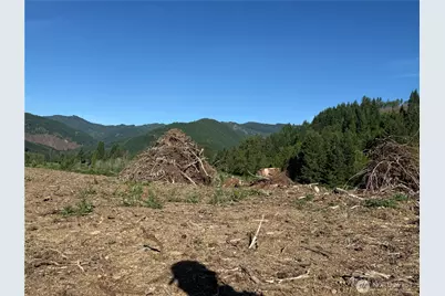 215 Mineral Road N, Mineral, WA 98355 - Photo 22