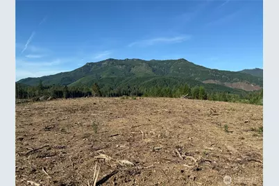 215 Mineral Road N, Mineral, WA 98355 - Photo 24