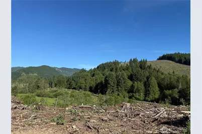 215 Mineral Road N, Mineral, WA 98355 - Photo 12