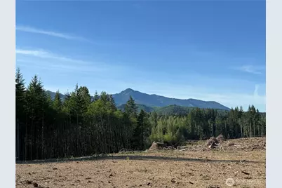 215 Mineral Road N, Mineral, WA 98355 - Photo 14