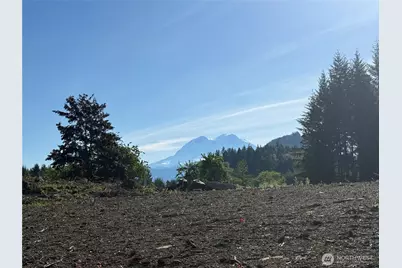 215 Mineral Road N, Mineral, WA 98355 - Photo 20