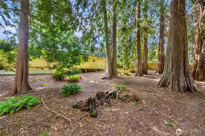 3709 Wesley Loop NW, Olympia, WA 98502 - Photo 38