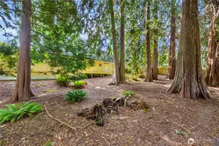 3709 Wesley Loop NW, Olympia, WA 98502 - Photo 38