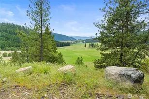 311 X Old Baldy Tract D K & L Rd, Rice, WA 99126 - Photo 24