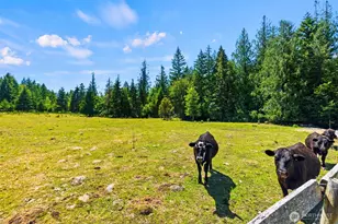 14710 McIntosh Ln SE, Tenino, WA 98589 - Photo 28