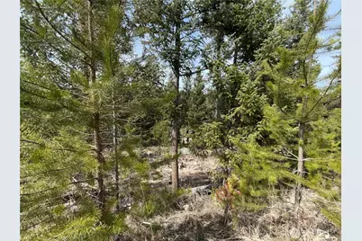 37 Gardner Creek Road, Republic, WA 99166 - Photo 22