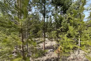 37 Gardner Creek Rd, Republic, WA 99166 - Photo 22