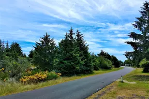710 Island Cir SE, Ocean Shores, WA 98569 - Photo 1
