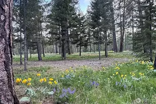 331 Wanawish Loop, Cle Elum, WA 98922 - Photo 1