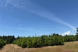101 SE Dusty Ln, Shelton, WA 98584 - Photo 1