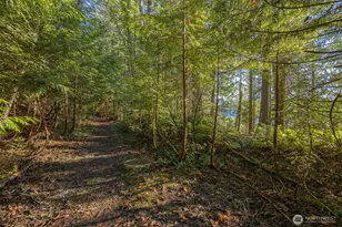 2111 Dellesta Dr, Bellingham, WA 98226 - Photo 34