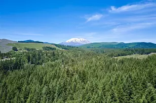 502 Loowit Ln, Cougar, WA 98616 - Photo 40