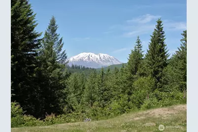 502 Loowit Lane, Cougar, WA 98616 - Photo 36