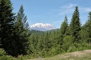 502 Loowit Ln, Cougar, WA 98616 - Photo 36