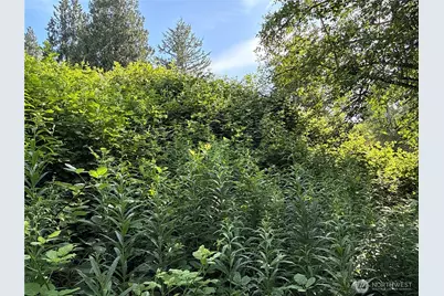 2229 97th Street SE, Lake Stevens, WA 98258 - Photo 6