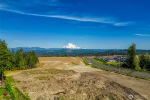 13608 175th St Ct E, Puyallup, WA 98374 - Photo 38