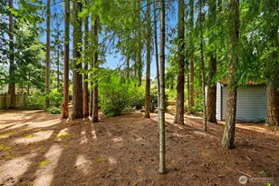 23232 SE 253rd Pl, Maple Valley, WA 98038 - Photo 34