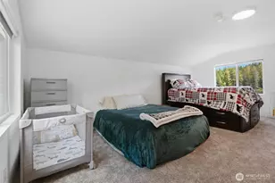 2321 NE Tee Lake Rd, Tahuya, WA 98588 - Photo 22