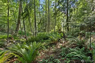 3627 Snug Harbor Rd NE, Olympia, WA 98506 - Photo 32