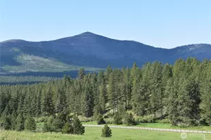 1765 Tunk Creek Rd, Riverside, WA 98849 - Photo 38