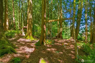 755 Top Pl, Sedro Woolley, WA 98284 - Photo 34