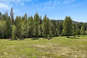 1631 Old Cedars Rd, Cle Elum, WA 98922 - Photo 20