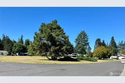 192 Hurricane Ridge Road, Sequim, WA 98382 - Photo 18
