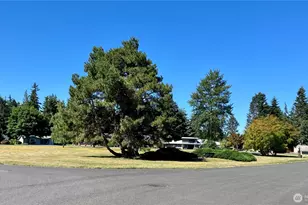 192 Hurricane Ridge Rd, Sequim, WA 98382 - Photo 18