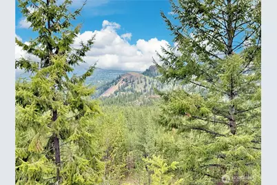 1942 Lyman Lake-Moses Meadows Road #A, Tonasket, WA 98855 - Photo 36