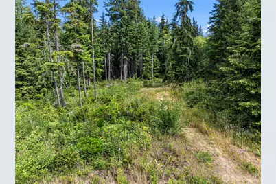 1 Andy Rogers Place NW, Seabeck, WA 98380 - Photo 8