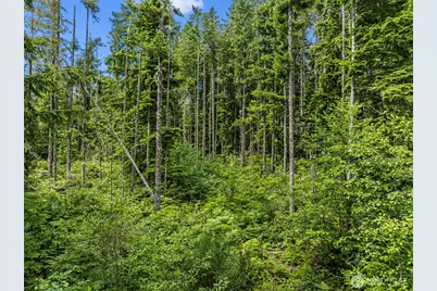 1 Andy Rogers Place NW, Seabeck, WA 98380 - Photo 18