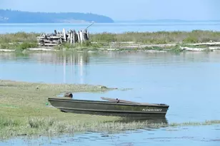 453 Race Rd, Coupeville, WA 98239 - Photo 40