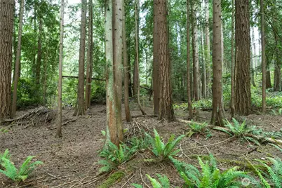 20853 Viking Avenue NW, Poulsbo, WA 98370 - Photo 22