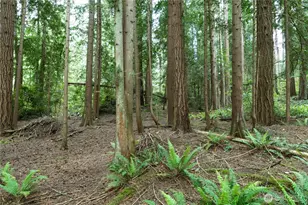 20853 Viking Ave NW, Poulsbo, WA 98370 - Photo 22