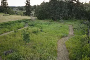 16743 Bucoda Hwy SE, Tenino, WA 98589 - Photo 6