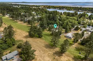 245 Dolphin Ave NE, Ocean Shores, WA 98569 - Photo 30