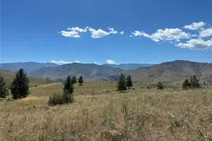 0 Tbd Peterson Ranch Rd, Pateros, WA 98846 - Photo 1