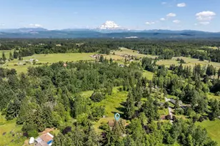 10410 260th St E, Graham, WA 98338 - Photo 38