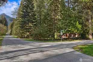 101 Chipmunk Pl, Packwood, WA 98361 - Photo 38