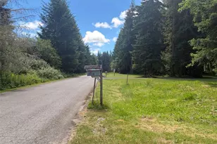 11843 Blue Glacier Ln SE, Yelm, WA 98597 - Photo 16