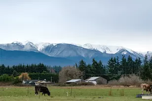 196 Marsh Hawk Ln, Port Angeles, WA 98382 - Photo 24