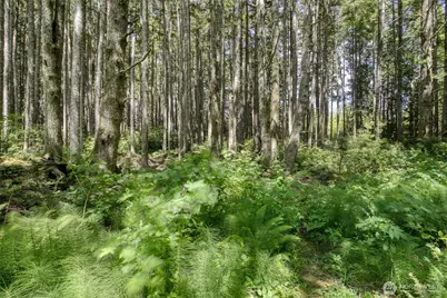 2782 State Rt 109, Ocean Shores, WA 98569 - Photo 38
