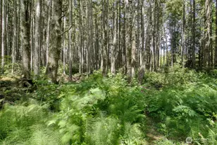 2782 State Rt 109, Ocean Shores, WA 98569 - Photo 38