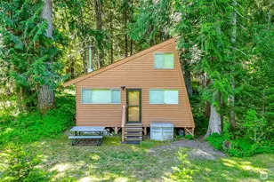 38115 564th St Ct E, Ashford, WA 98304 - Photo 36